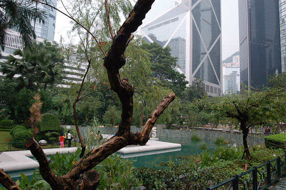 CENTRAL - Da Chater Garden vista sugli alti grattacieli circostanti e sulla facciata prismatica a triangoli intrecciati della Bank of China Tower