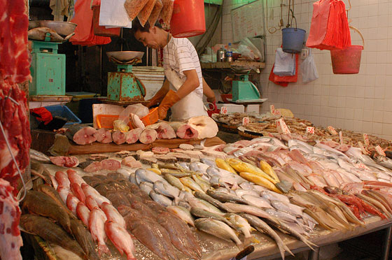 WAN CHAI - Pesce fresco in vendita sui banchi del Mercato di Wan Chai