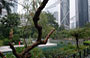 CENTRAL. Da Chater Garden vista sugli alti grattacieli circostanti e sulla facciata prismatica a triangoli intrecciati della Bank of China Tower