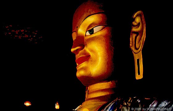 LADAKH - HIMALAYA - Shey Gompa - la statua del Buddha Sakyamuni all'interno della sala delle preghiere