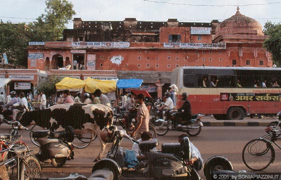 JAIPUR - Lo straordinario spettacolo della vivace vita cittadina proprio sulla via principale del bazar