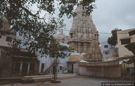 UDAIPUR - Jagdish Temple visto dalla piazzetta sul retro nel contesto delle abitazioni