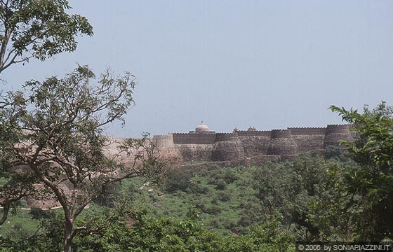 RAJASTHAN MERIDIONALE - Bellissimo l'iserimento paesaggistico dell'inaccessibile forte di Kumbhalgarh 