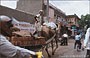 JAIPUR. Eccezionali mezzi di trasporto - un carro trasporta mattoni trainato da un cammello guidato da un anziano indiano con baffi e turbante