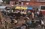 JAIPUR. Lo straordinario spettacolo della vivace vita cittadina proprio sulla via principale del bazar