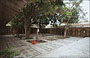 CITY PALACE DI UDAIPUR. Bari Mahal: il grazioso giardino centrale