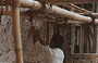 UDAIPUR. Lavori di restauro al City Palace: un caratteristico ponteggio di bambù e le precarie condizioni di sicurezza dei cantieri indiani