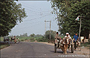 UTTAR PRADESH. Verso Fatehpur Sikri - tradizionali mezzi di trasporto