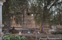 KHAJURAHO. Templi del gruppo occidentale - uomini indiani sotto il grande albero e sullo sfondo il Matangesvara Temple 