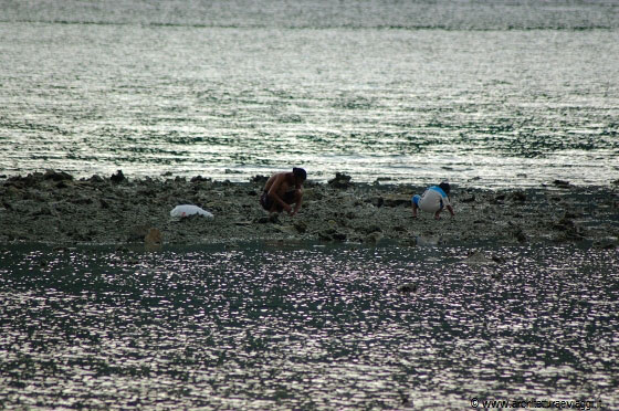 PULAU PERHENTIAN BESAR - La bassa marea al tramonto facilita i cercatori di molluschi 