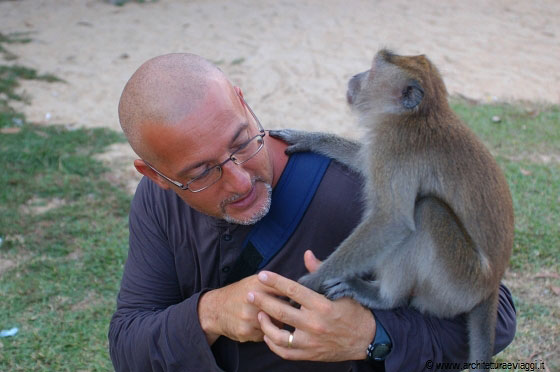 CHERATING - L'esperienza più divertente della vacanza per Francesco è stata giocare con questa scimmia