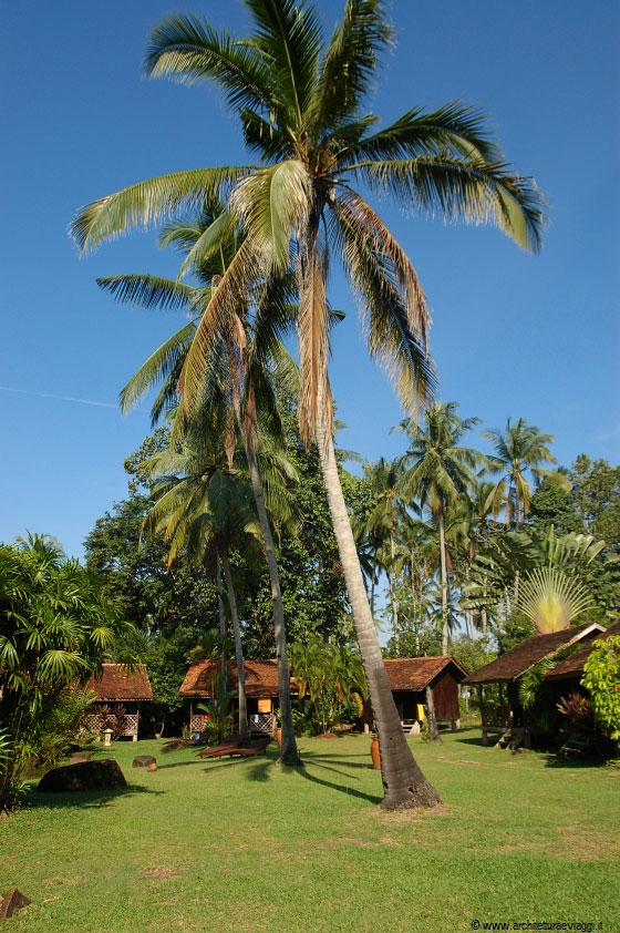 CHERATING - Le alte palme da cocco del giardino di Villa de Fedella