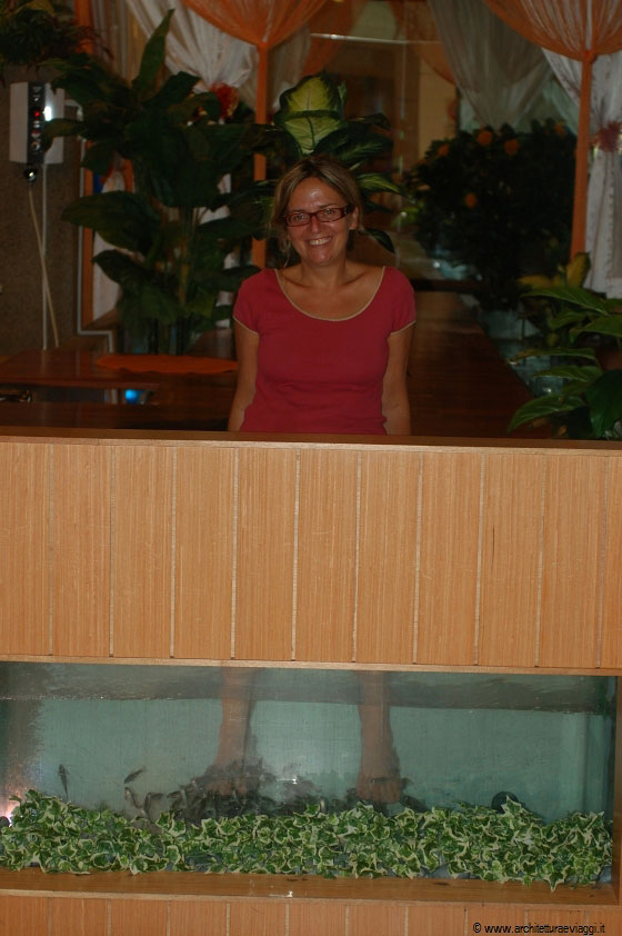 KUALA LUMPUR - Il piacevole pediluvio con il Doctor Fish alla Foot Master Dr Fish Spa 