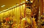 WATERLOO STREET. Buddha dorati in un negozio all'interno del Fu Lu Shou Complex