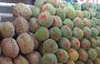 BUGIS STREET. I durian, tradizionali frutti asiatici
