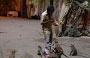BATU CAVES. Un indiano, forse il guardiano del santuario, offre cibo alle scimmie