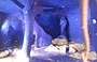 GIARDINO DEI TAROCCHI. L'interno della testa-fontana della Papessa, dipinto di azzurro con stelle argentee