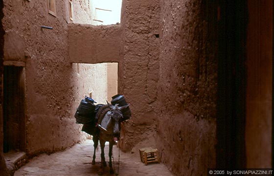 KASBAH AIT BENHADDOU - Caratteristici scorci - un'asino per le strade dell kasbah per il trasporto merci