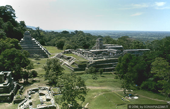 PALENQUE - Vista d'insieme sul Palacio e il Tempio delle Iscrizioni