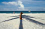 TULUM. Distese di sabbia bianca mare turchese e ombra delle verdi palme
