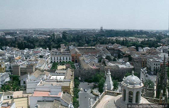 SIVIGLIA - Catedral - vista dall'alto sulla cattedrale verso l'Alcazar