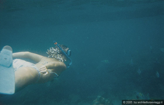 PHI PHI LEY - Io sott'acqua