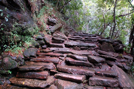 SALTO EL SAPO - Ci allontaniamo dalla cascata e percorriamo questo percorso tra pietre bagnate e rigogliosa vegetazione