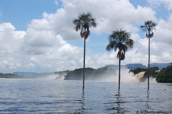 LAGUNA DI CANAIMA - L'immagine delle tre palme sullo sfondo delle cascate è una delle immagini simbolo del Venezuela