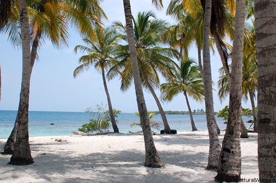 PARCO NAZIONALE MORROCOY - All'ombra delle alte palme della spiaggia di Playuela