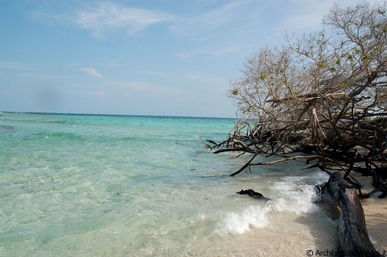 PARCO NAZIONALE MORROCOY - La punta sud-est di Cayo Sombrero che a detta di molti ha il mare caraibico più bello