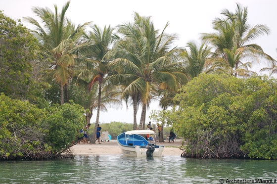 PARCO NAZIONALE MORROCOY - Il gradevole approdo delle barche a Boca Seca tra mangrovie e vista sulle palme della spiaggia
