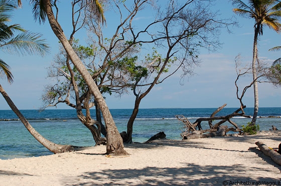 BOCA SECA - Le immagini parlano da sole e sono sufficienti a descrivere questa splendida spiaggia caraibica