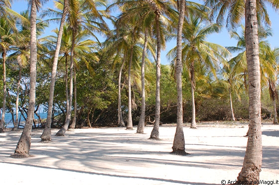 BOCA SECA - Alte palme, sabbia bianchissima, mare turchese: vi bastano come ingredienti per assicurarsi una vacanza all'insegna del relax?