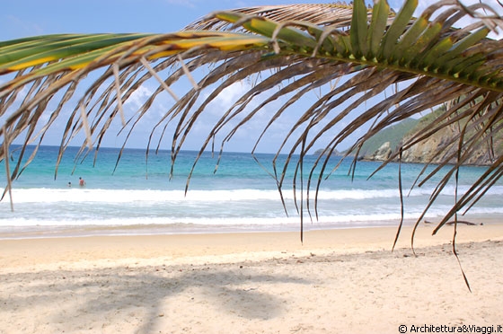 MAR DEI CARAIBI - All'ombra delle palme di Playa Grande