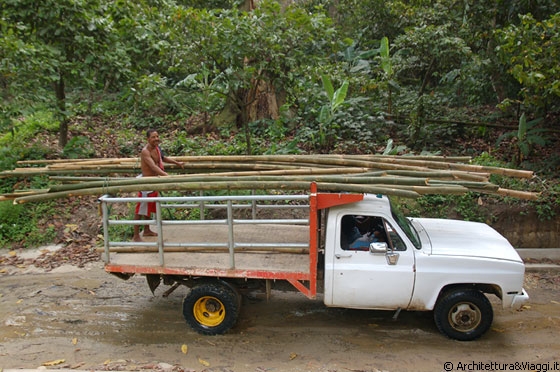 CHUAO - Un camion trasporta bamboo