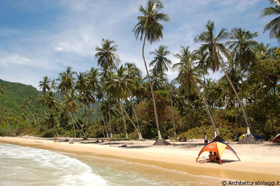 PLAYA GRANDE - Una distesa lunga circa mezzo chilometro ombreggiata da numerose palme da cocco