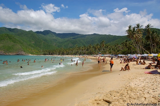 PLAYA GRANDE - Questa enorme distesa di spiaggia orlata da alte palme da cocco si trova nel Parque Nacional Henri Pittier, il parco più vecchio del Venezuela