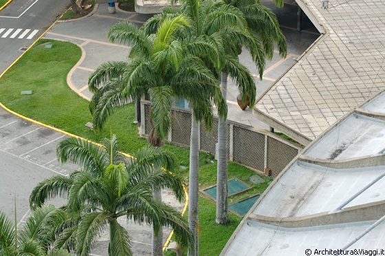 UCV CARACAS - Alte palme segnano l'ingresso alla Piazza Coperta nei pressi del blocco dell'Aula Magna