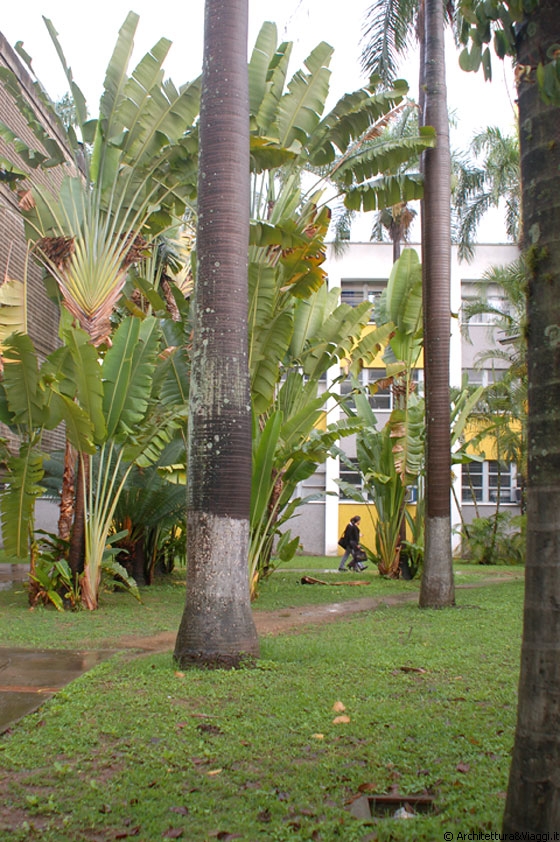 UNIVERSITA' CENTRALE DEL VENEZUELA - Tra erba, banani e palme risaltano i bianchi, i grigi ed i gialli degli edifici sede della Facoltà di Ingegneria 