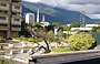CARACAS. Dal Museo de Arte Contemporaneo vista sul Parque Los Caobos e sul Complejo Cultural Teresa Carreno