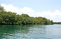 PARCO NAZIONALE MORROCOY. Le mangrovie ancora protagoniste del paesaggio marino del Venezuela