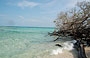 PARCO NAZIONALE MORROCOY. La punta sud-est di Cayo Sombrero che a detta di molti ha il mare caraibico più bello