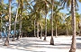 BOCA SECA. Alte palme, sabbia bianchissima, mare turchese: vi bastano come ingredienti per assicurarsi una vacanza all'insegna del relax?
