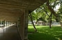 UCV CARACAS. Queste immagini evidenziano l'attenzione del progettista al rapporto tra interno ed esterno, tra ombre e luci, tra architettura e natura