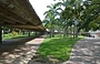 UNIVERSITA' CENTRALE DEL VENEZUELA. Percorsi coperti, piante, pavimentazioni esterne, evidenziano l'attenzione alla cura del contesto attraverso una mirata progettazione urbanistica e paesaggistica del campus