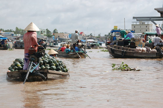 CAI RANG - L'animato mercato fluviale ed in primo piano donne sulla loro barchetta trasportano angurie