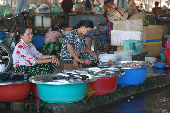 DELTA DEL MEKONG - Al mercato cittadino di Cai Rang si vende di tutto: carne, pesce, frutta e verdura e anche generi non alimentari