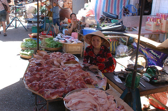 DELTA DEL MEKONG - Banchi di carne esposta al mercato cittadino di Cai Rang