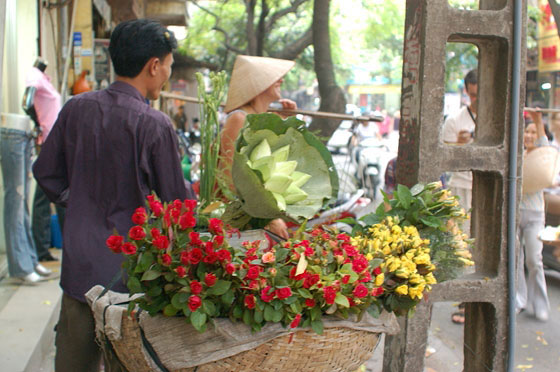 HANOI - Quartiere Vecchio: un bel cesto di rose e fior di loto