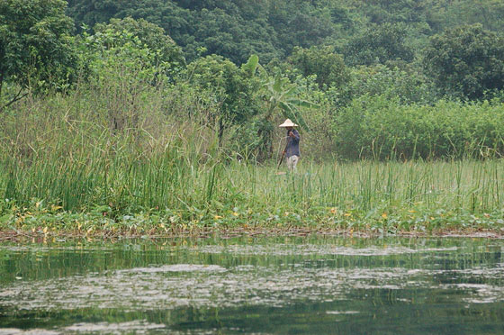 PAGODA DEI PROFUMI - Avvistiamo un contadino tra le risaie oltre il fiume